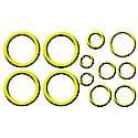 O-Ring & Gasket A/C System Seal Kit