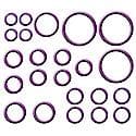 O-Ring & Gasket A/C System Seal Kit