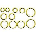 O-Ring & Gasket A/C System Seal Kit