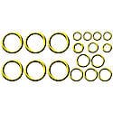 O-Ring & Gasket A/C System Seal Kit