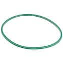 Motorcraft Fuel Pump Tank Seal