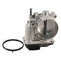 Electronic Throttle Body (ETB)