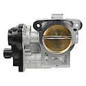 FI Throttle Body