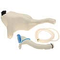 Windshield Washer Fluid Reservoir