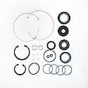 Heavy Duty Steering Gear Pitman Shaft Seal Kit