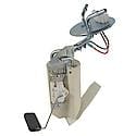 Fuel Pump Module SP33A1HCQ: Fuel Pump and Sending Unit