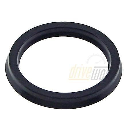 Oil Seal