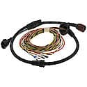 ABS Wheel Speed Sensor Wiring Harness