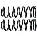 Coil Spring Set