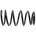 Coil Spring Set