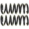 Coil Spring Set