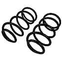 Coil Spring Set