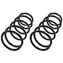 Coil Spring Set