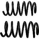 Coil Spring Set