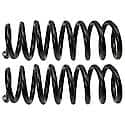 Coil Spring Set