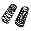 Coil Spring Set