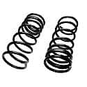 Coil Spring Set