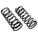 Coil Spring Set