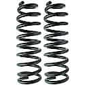 Coil Spring Set