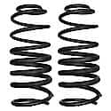 Coil Spring Set