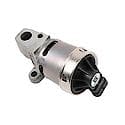 Exhaust Gas Recirculation (EGR) Valve