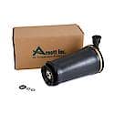 Arnott Rear Air Spring