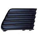 Bumper Grille Insert