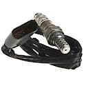 Walker Oxygen Sensor