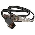 Walker Oxygen Sensor