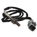 Walker Oxygen Sensor