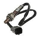 Walker Oxygen Sensor