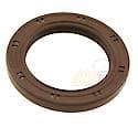 Oil Seal