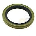 Oil Seal