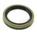 Oil Seal