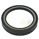 Oil Seal