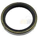 Oil Seal