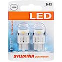 7443: White LED Mini Bulb, 1 Year Warranty, 2 Pack