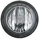 Driver Fog Lamp Assembly