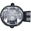 Passenger Fog Lamp Assembly