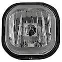 Driver Fog Lamp Assembly