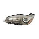 New Economy Replacement Driver Side Halogen Headlight Assembly, With Black Bezel