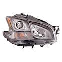 Headlight Assembly