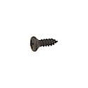 Sun Visor Screw