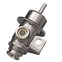 Fuel Injection Pressure Regulator