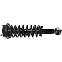 Complete Strut Assembly: Includes Strut, Coil Spring, and Mount