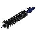 Complete Strut Assembly: Includes Strut, Coil Spring, and Mount