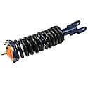 Complete Strut Assembly: Includes Strut, Coil Spring, and Mount