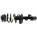 Complete Strut Assembly: Includes Strut, Coil Spring, and Mount