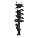 Complete Strut Assembly 18-817135: Includes Strut, Coil Spring and Mount