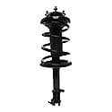 Complete Strut Assembly: Includes Strut, Coil Spring and Mount